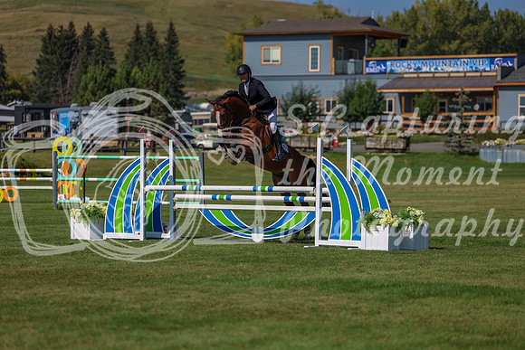2025 - Shea - Fall Finale - Saturday September 13th - 10572