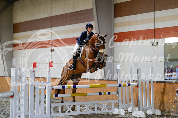 2025 - Haylee - Harvest Horse Show - Sunday, September 13th 12998