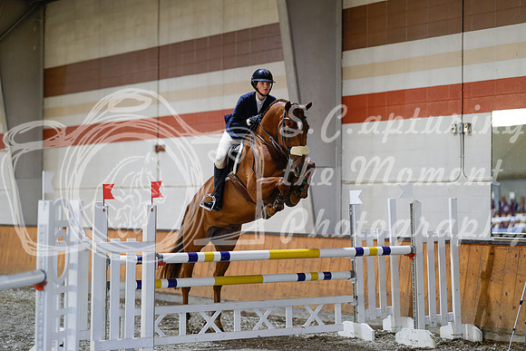 2025 - Haylee - Harvest Horse Show - Sunday, September 13th 12997