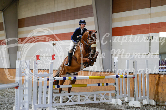 2025 - Haylee - Harvest Horse Show - Sunday, September 13th 12995