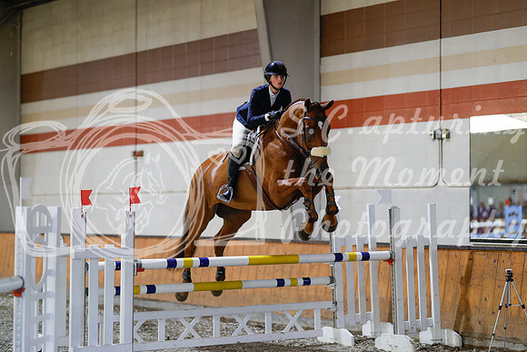 2025 - Haylee - Harvest Horse Show - Sunday, September 13th 13002