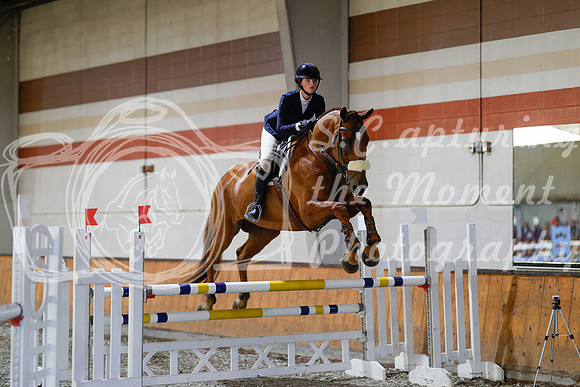 2025 - Haylee - Harvest Horse Show - Sunday, September 13th 13003