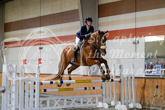 2025 - Haylee - Harvest Horse Show - Sunday, September 13th 13004