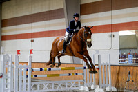 2025 - Haylee - Harvest Horse Show - Sunday, September 13th 13006