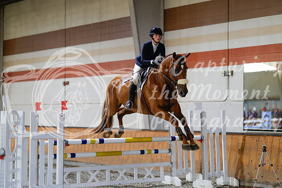 2025 - Haylee - Harvest Horse Show - Sunday, September 13th 13006