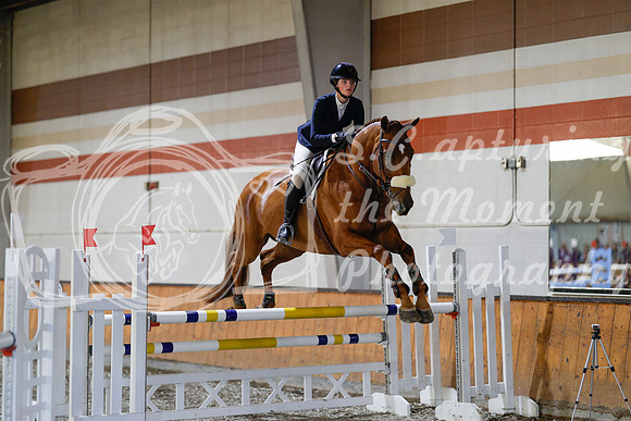 2025 - Haylee - Harvest Horse Show - Sunday, September 13th 13005