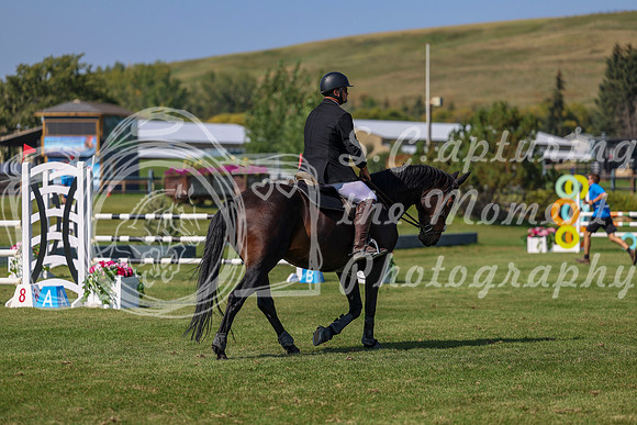 2025 - Shea - Fall Finale - Saturday September 13th - 10457