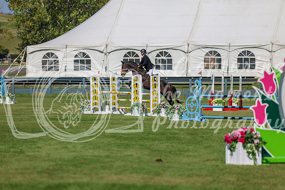 2025 - Shea - Fall Finale - Saturday September 13th - 10466