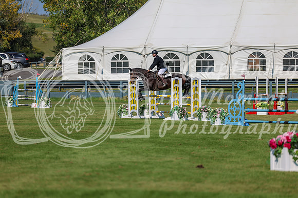 2025 - Shea - Fall Finale - Saturday September 13th - 10472
