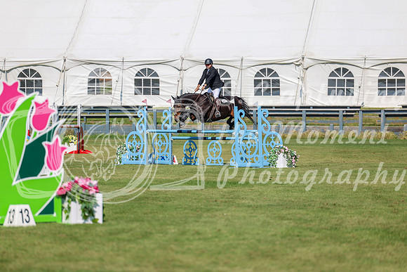 2025 - Shea - Fall Finale - Saturday September 13th - 10480