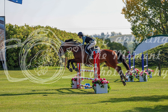 2025 - Shea - Fall Finale - Saturday September 13th - 02450