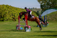 2025 - Shea - Fall Finale - Saturday September 13th - 09179