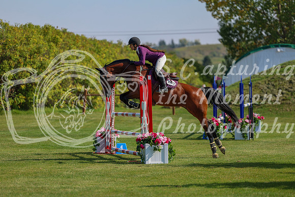 2025 - Shea - Fall Finale - Saturday September 13th - 09180