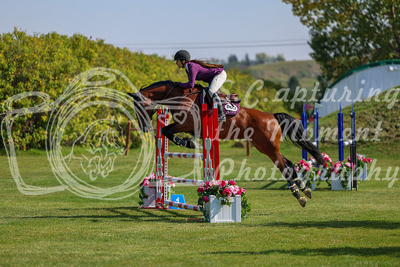 2025 - Shea - Fall Finale - Saturday September 13th - 09181