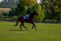 2025 - Shea - Fall Finale - Saturday September 13th - 09452