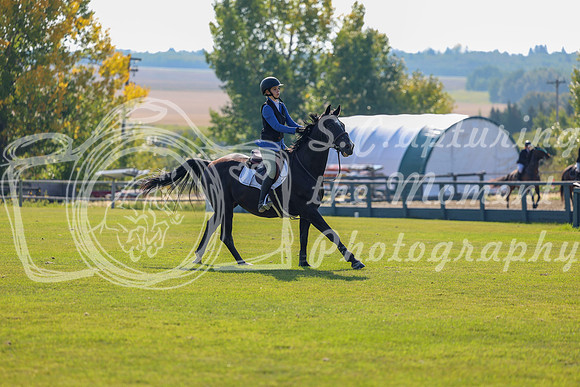 2025 - Shea - Fall Finale - Saturday September 13th - 03000
