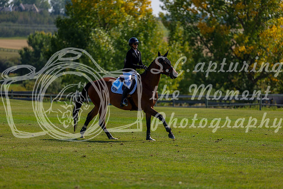 2025 - Shea - Fall Finale - Saturday September 13th - 09455