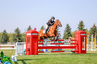 2025 - Haylee - Harvest Horse Show - Sunday, September 13th 05759