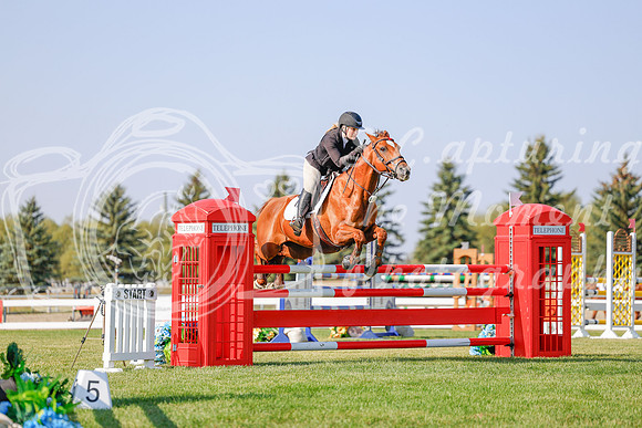 2025 - Haylee - Harvest Horse Show - Sunday, September 13th 05759