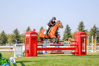 2025 - Haylee - Harvest Horse Show - Sunday, September 13th 05760
