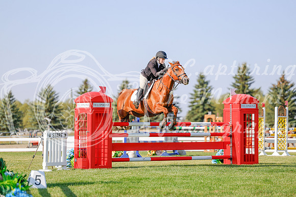 2025 - Haylee - Harvest Horse Show - Sunday, September 13th 05760