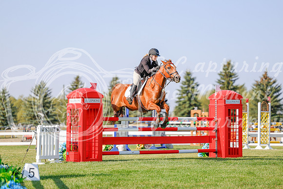 2025 - Haylee - Harvest Horse Show - Sunday, September 13th 05761