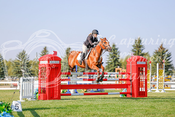 2025 - Haylee - Harvest Horse Show - Sunday, September 13th 05762