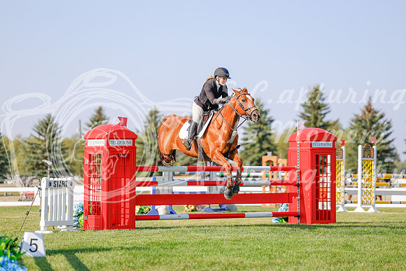 2025 - Haylee - Harvest Horse Show - Sunday, September 13th 05763