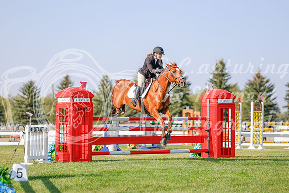 2025 - Haylee - Harvest Horse Show - Sunday, September 13th 05764