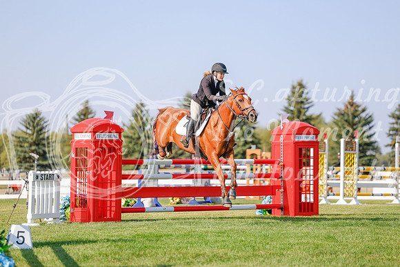 2025 - Haylee - Harvest Horse Show - Sunday, September 13th 05765