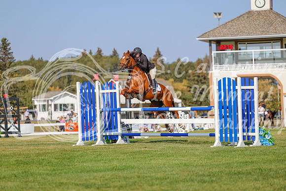 2025 - Haylee - Harvest Horse Show - Sunday, September 13th 05766