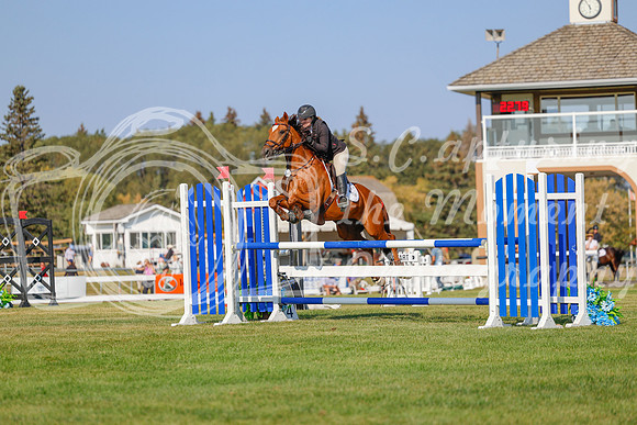 2025 - Haylee - Harvest Horse Show - Sunday, September 13th 05767
