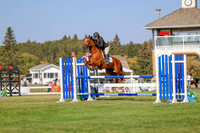 2025 - Haylee - Harvest Horse Show - Sunday, September 13th 05768