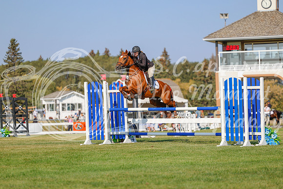 2025 - Haylee - Harvest Horse Show - Sunday, September 13th 05768