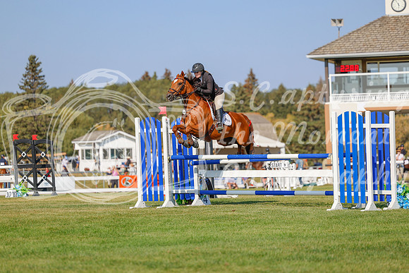 2025 - Haylee - Harvest Horse Show - Sunday, September 13th 05770
