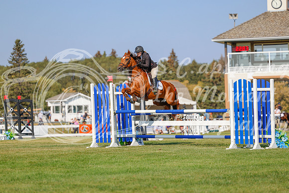 2025 - Haylee - Harvest Horse Show - Sunday, September 13th 05769