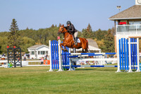 2025 - Haylee - Harvest Horse Show - Sunday, September 13th 05771