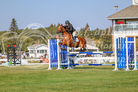 2025 - Haylee - Harvest Horse Show - Sunday, September 13th 05771
