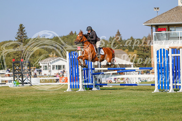 2025 - Haylee - Harvest Horse Show - Sunday, September 13th 05772