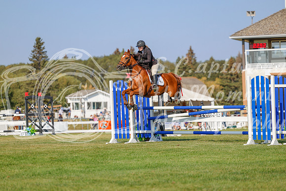 2025 - Haylee - Harvest Horse Show - Sunday, September 13th 05773