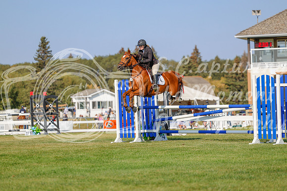 2025 - Haylee - Harvest Horse Show - Sunday, September 13th 05774