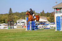 2025 - Haylee - Harvest Horse Show - Sunday, September 13th 05775