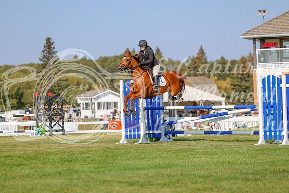 2025 - Haylee - Harvest Horse Show - Sunday, September 13th 05775