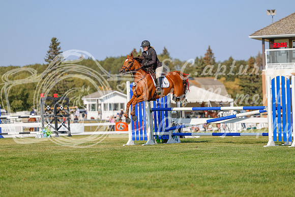 2025 - Haylee - Harvest Horse Show - Sunday, September 13th 05776