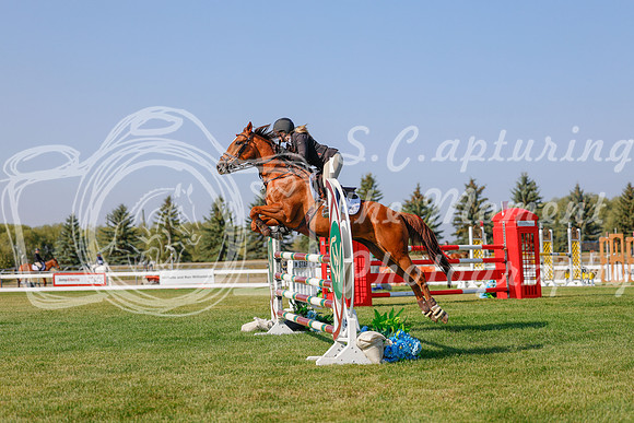 2025 - Haylee - Harvest Horse Show - Sunday, September 13th 05777