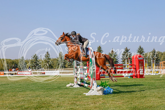 2025 - Haylee - Harvest Horse Show - Sunday, September 13th 05778