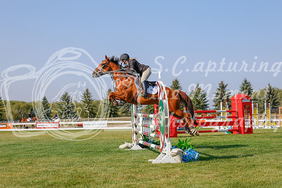 2025 - Haylee - Harvest Horse Show - Sunday, September 13th 05779