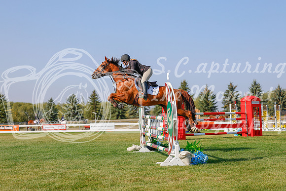 2025 - Haylee - Harvest Horse Show - Sunday, September 13th 05780
