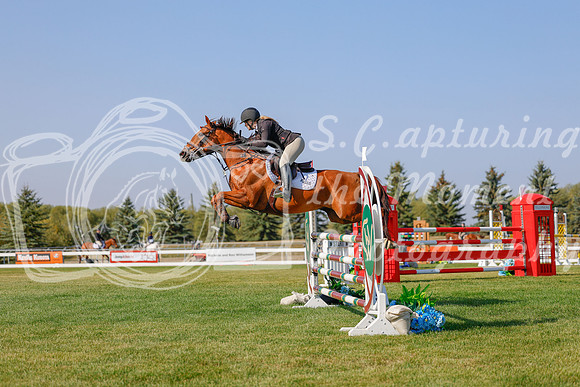 2025 - Haylee - Harvest Horse Show - Sunday, September 13th 05782