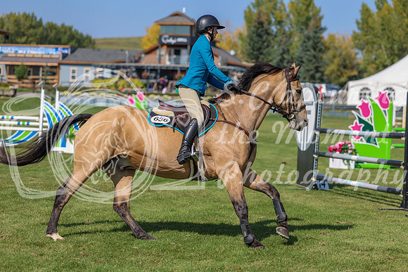 2025 - Shea - Fall Finale - Saturday September 13th - 10925